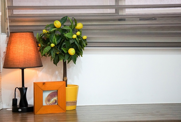 Decoración con portarretrato